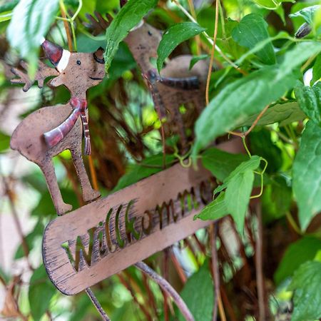 Im Oberdorf Apartment Achern Ngoại thất bức ảnh