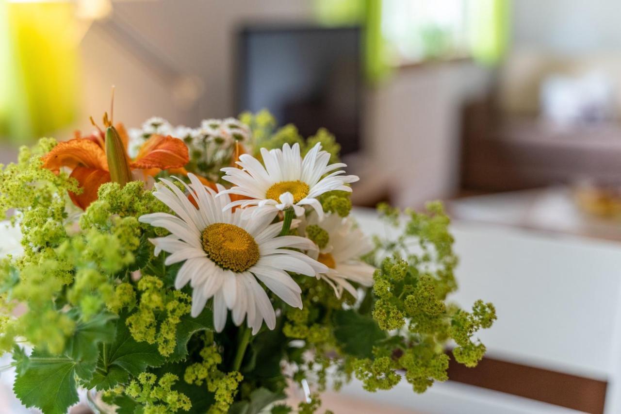 Im Oberdorf Apartment Achern Ngoại thất bức ảnh